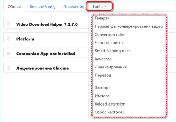 Дополнительные настройки VideoDownload Helper