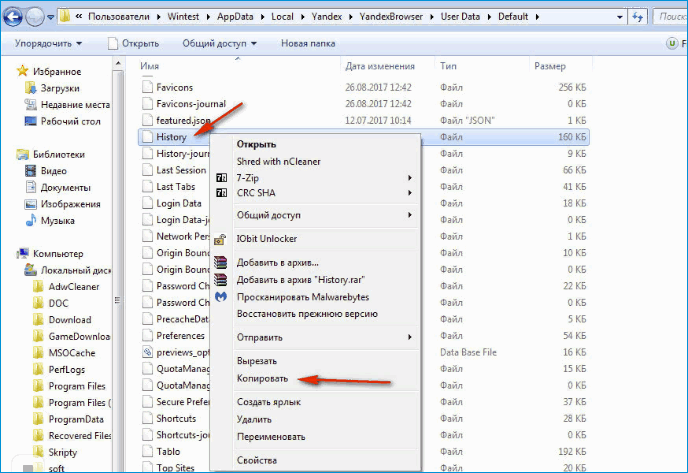 Копирование файла History в Проводнике