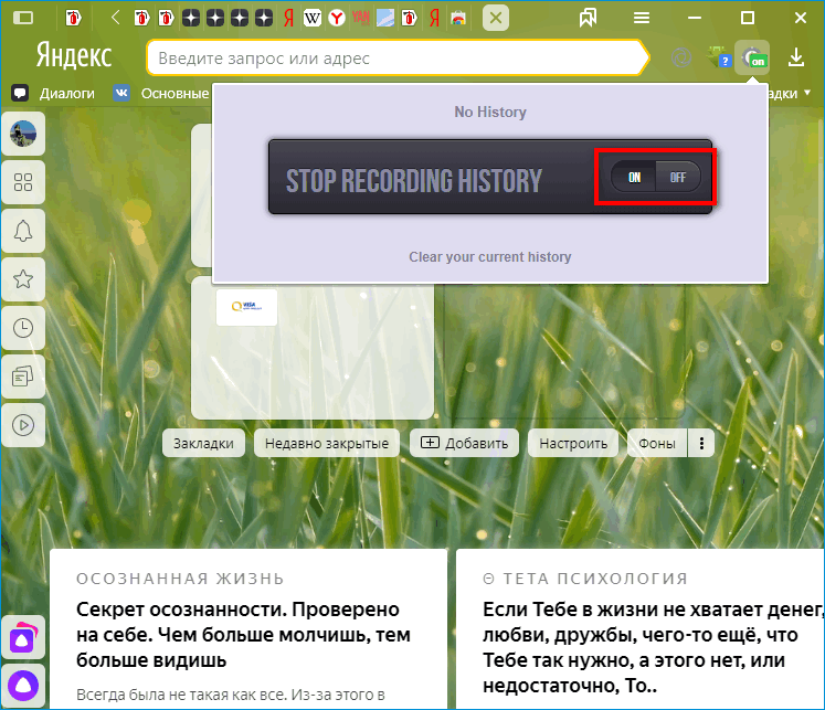 Меню расширения No History