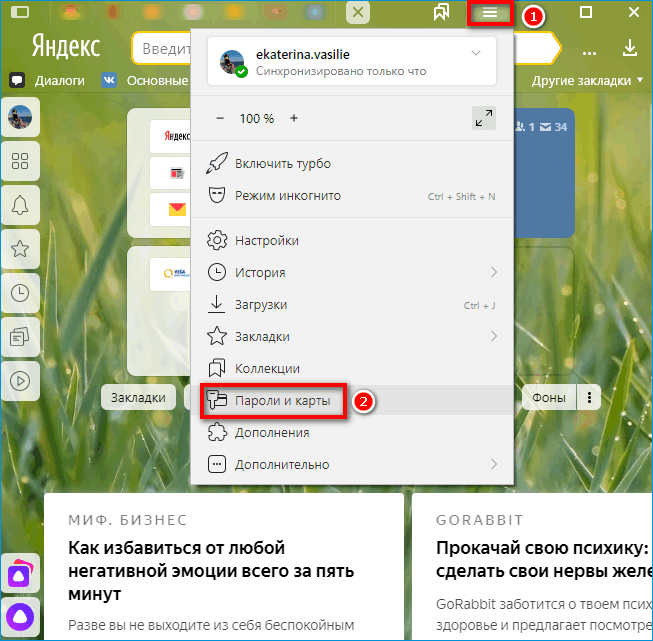 Пароли и карты в Яндекс Браузере Пароли и карты в Яндекс Браузере