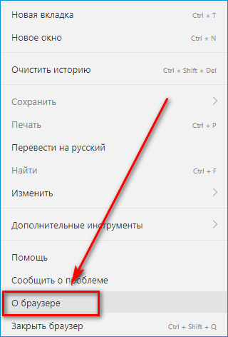 Раздел о Яндекс Браузере