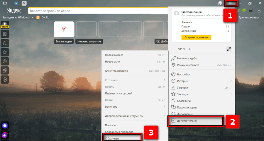 Текущая версия браузера