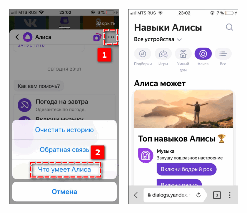 Возможности Алисы в Яндекс Браузере